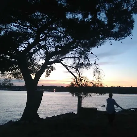 Stojakovic Apartament *