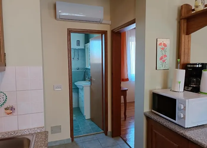 Stojakovic بوريتش