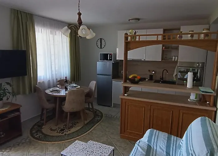 Stojakovic بوريتش