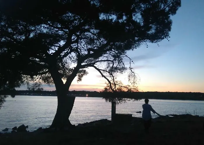 Stojakovic Апартаменты *